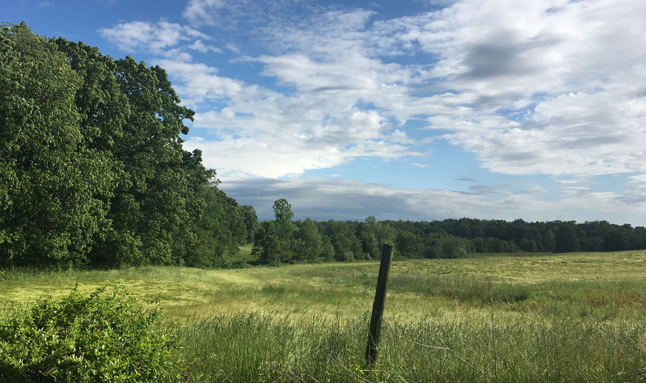 Farm scene in rural southern Illinois